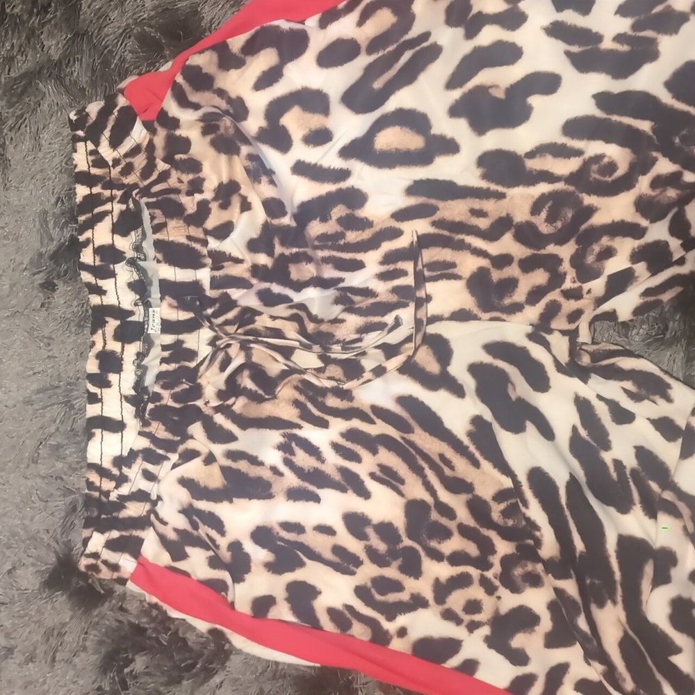 Leopard Print Color Block Wide-Leg Pants with Red Stripe - Picture 5 of 7